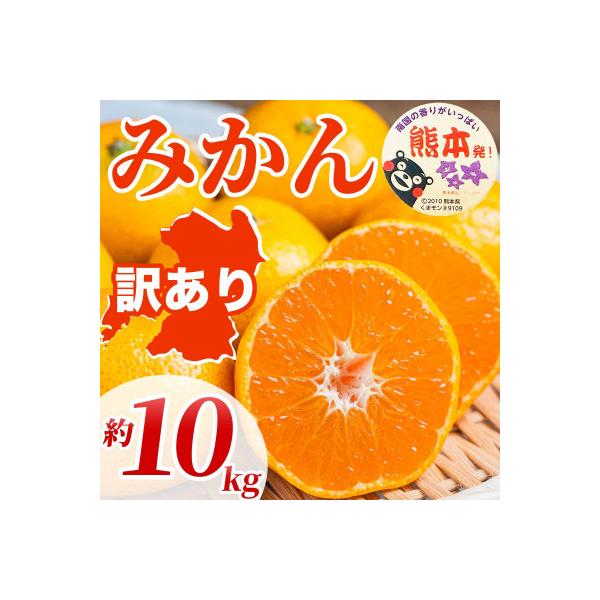 水俣市 【先行予約】 熊本県 水俣市産 訳あり みかん サイズミックス 3S〜3L 約10kg (水俣市)