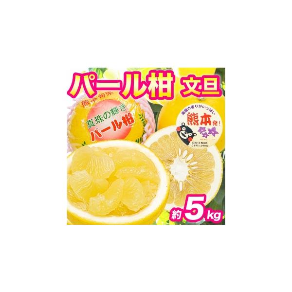 みかん・柑橘類 熊本県 - パール柑 約5kg 柑橘系 柑橘類 柑橘 果物 くだもの フルーツ 果実 果汁 果肉 国産 熊本県産 2027年3月上旬から3月下旬…