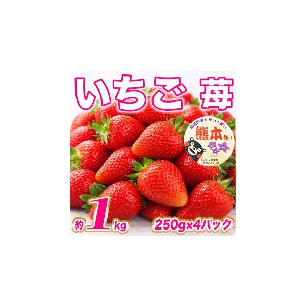 いちご 熊本県 - いちご 約1kg （ 250g × 4パック ） イチゴ 苺 果物 くだもの フルーツ 果実 果肉 国産 熊本県産 2027年1月上旬から2月上旬発… 約250g〜1kg