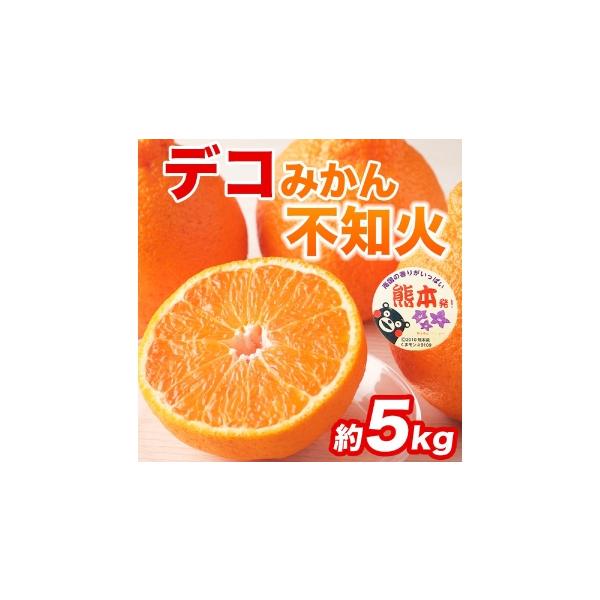 みかん・柑橘類 デコポン 熊本県 - 不知火 （ デコポン同品種 ） 12 〜 24玉 約5kg デコポン 柑橘系 柑橘類 柑橘 果物 くだもの フルーツ 果実 …