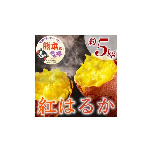 野菜類 サツマイモ 熊本県 - 紅はるか 約5kg （ 9 〜 37個 ） さつまいも サツマイモ 野菜 いも イモ やさい 焼き芋 芋 スイーツ 国産 熊本県産 …