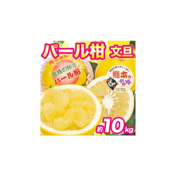 みかん・柑橘類 熊本県 - パール柑 約10kg 柑橘系 柑橘類 柑橘 果物 くだもの フルーツ 果実 果汁 果肉 国産 熊本県産 2027年3月上旬から3月下旬…