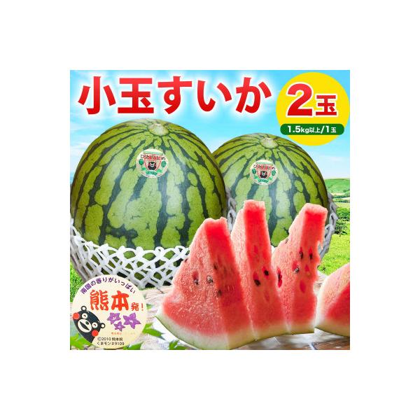 益城町 【先行予約】 熊本県産 高糖度! 美味しさひとりじめ 小玉すいか 2玉入り 3Lサイズ 約3kg以上
