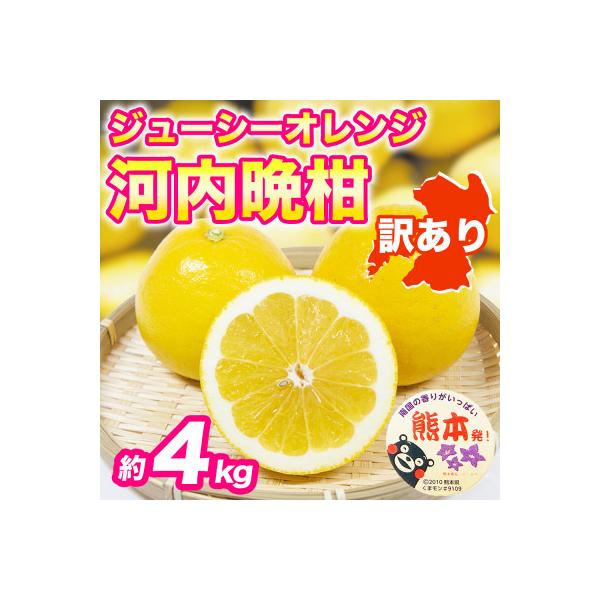 益城町 河内晩柑(ジューシーオレンジ)みかん 訳あり 約4kg(益城町)