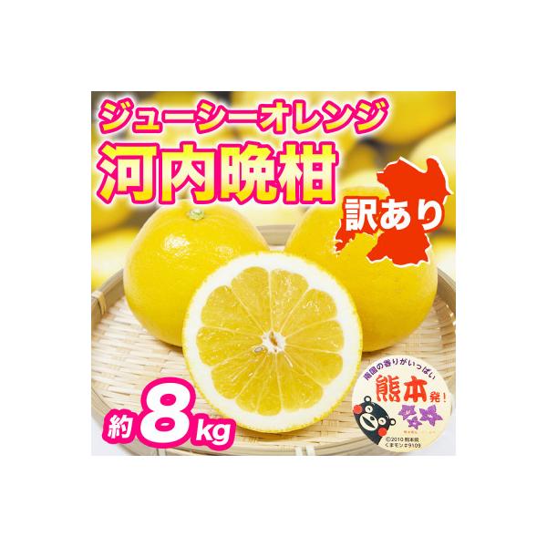 益城町 河内晩柑(ジューシーオレンジ)みかん 訳あり 約8kg(益城町)