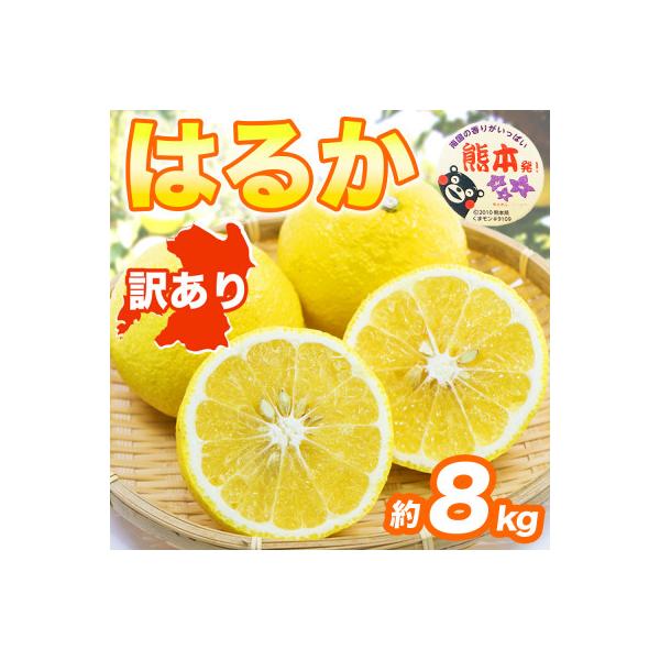 益城町 【先行予約】 熊本県産 やさしい甘さと爽やかな味わいのみかん! 訳あり はるか 約8kg(益城町)