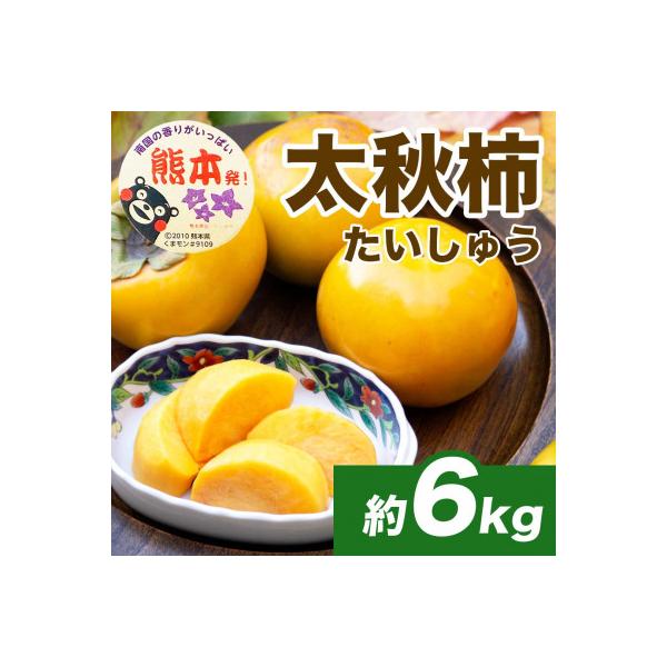益城町 太秋柿 16〜30玉 約6kg(益城町)