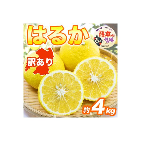 益城町 【先行予約】 熊本県産 やさしい甘さと爽やかな味わいのみかん! 訳あり はるか 約4kg(益城町)