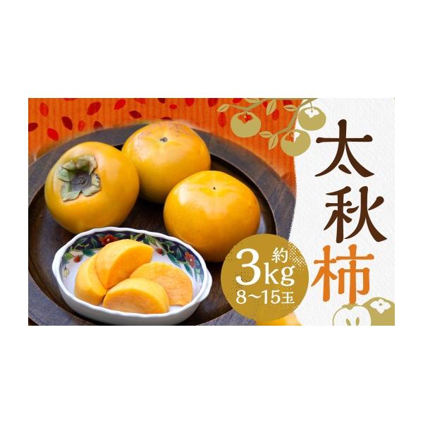 果物類 柿 熊本県 益城町 令和8年度熊本地震復興支援 太秋柿 約3kg（8〜15玉）柿 カキ 果物 2026年10月上旬〜11月上旬発送予定