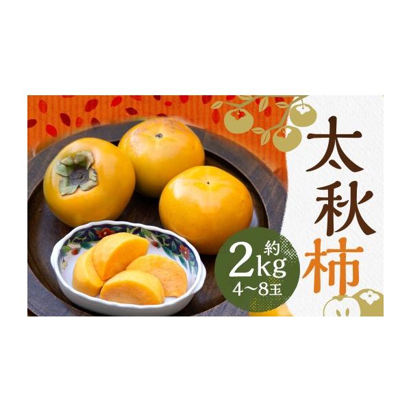 果物類 柿 熊本県 益城町 R8年熊本地震復興支援 太秋柿 約2kg（4〜8玉）柿 カキ 果物 2026年10月上旬〜11月上旬発送予定