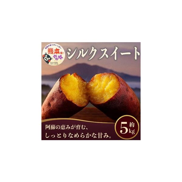 野菜類 サツマイモ 熊本県 益城町 R8年熊本地震復興支援 シルクスイート さつまいも 約5kg サツマイモ さつまいも 芋 イモ 焼き芋 スイートポテ…