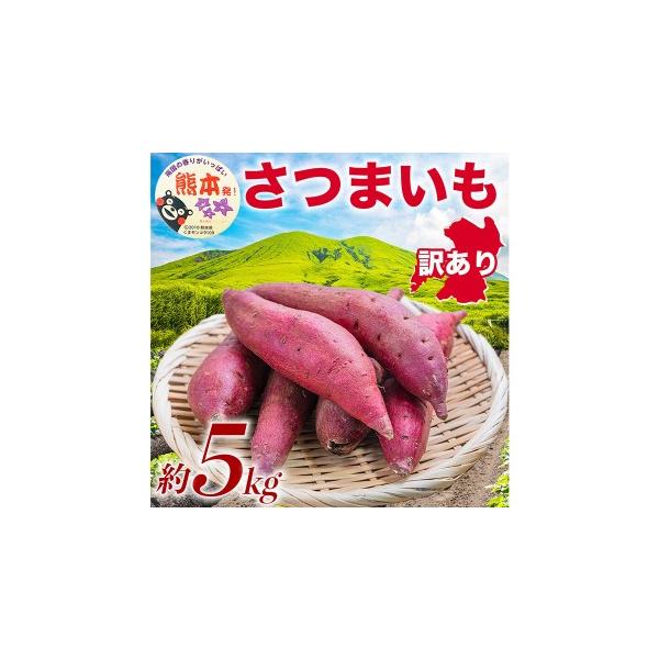 野菜類 サツマイモ 熊本県 益城町 R8年熊本地震復興支援 訳あり さつまいも 約5kg サツマイモ さつまいも 芋 イモ 焼き芋 スイーツ 5kg 2026年1…