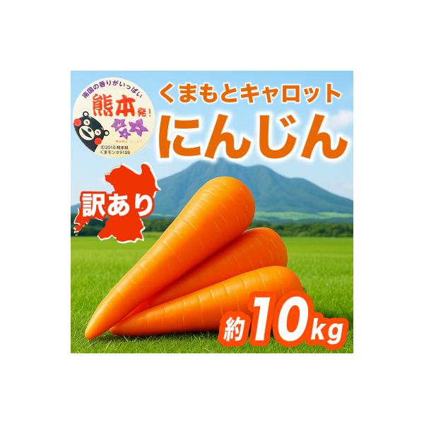 西原村 にんじん 訳あり 約10kg(西原村)