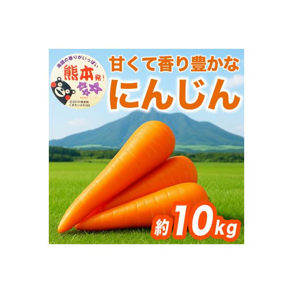 西原村 にんじん 約10kg(西原村)