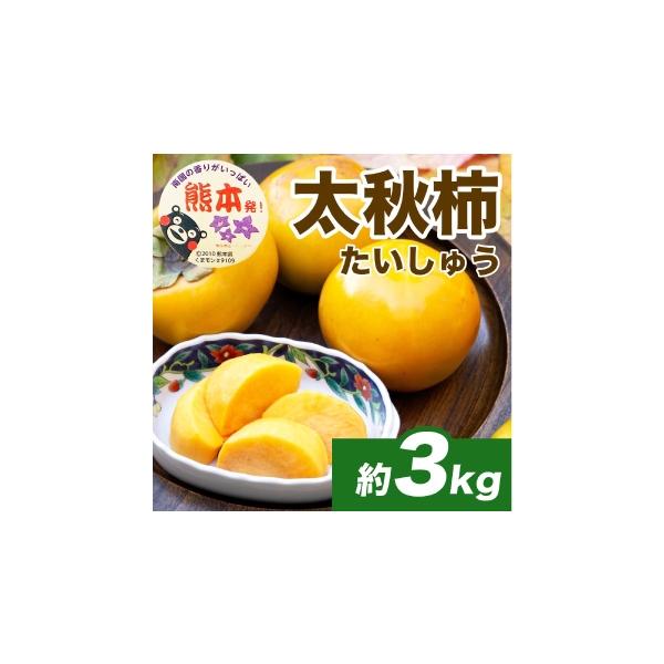 果物類 柿 熊本県 - 太秋柿 約3kg （ 8 〜 15玉 ） 柿 カキ 果物 かき くだもの 果実 フルーツ 果肉 果汁 国産 熊本県産 2026年10月上旬から11月…