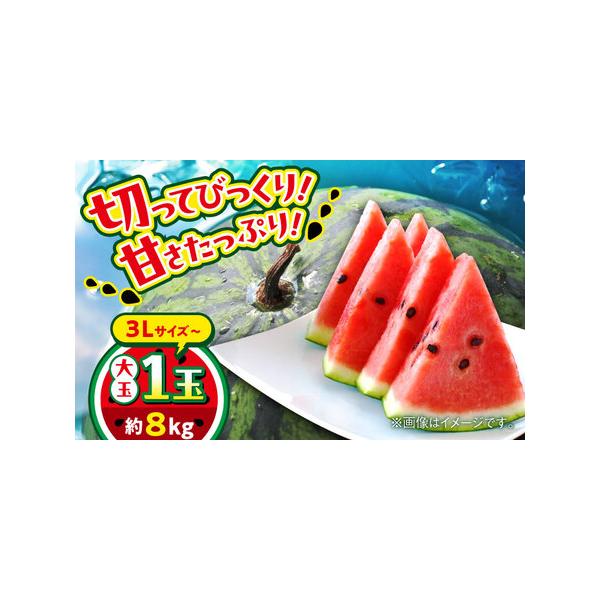 【2026年 先行予約】【数量限定】大玉すいか 3L以上 1玉入り 約8kg【日本フルーツ株式会社】【AYDA007】 熊本県合志市