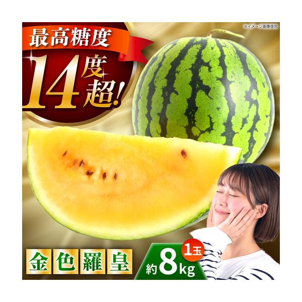 【先行予約】金色羅皇 スイカ 3L以上 1玉 約8kg すいか 野菜 フルーツ 果物 【日本フルーツ株式会社】 【ZFJ008】 熊本県山鹿市