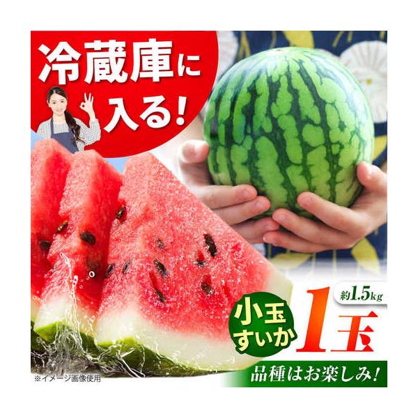 【先行予約】小玉スイカ 3L以上 1玉入り 約1.5kg 【日本フルーツ株式会社】【ZFJ011】 熊本県山鹿市