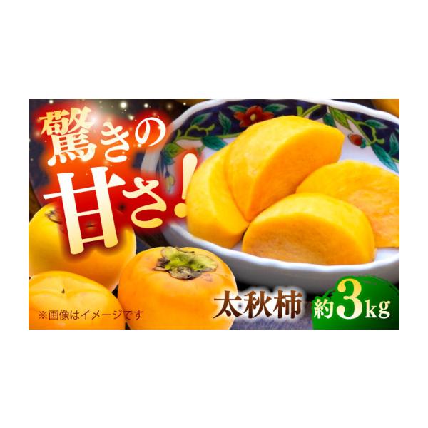 果物類 柿 熊本県 山鹿市 先行予約 太秋柿 約3kg 柿 カキ フルーツ 果物 秋 日本フルーツ株式会社 ZFJ020
