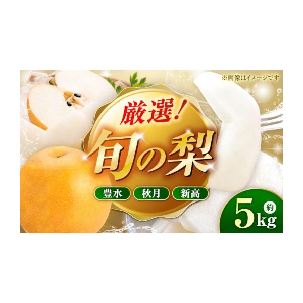 梨 熊本県 山鹿市 先行予約 厳選おまかせ梨 約5kg 梨 豊水梨