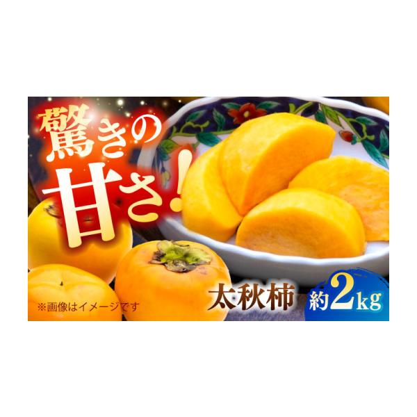 果物類 柿 熊本県 山鹿市 先行予約 太秋柿 約2kg 柿 カキ フルーツ 果物 秋 日本フルーツ株式会社 ZFJ021