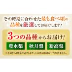 【先行予約】厳選おまかせ梨 約1.8kg 梨 豊水梨