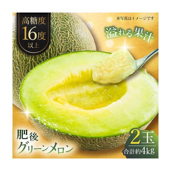 【先行予約】肥後グリーンメロン 約4kg(2玉入) メロン グリーンメロン フルーツ 熊本県産 【日本フルーツ株式会社】 【ZFJ004】 熊本県山鹿市
