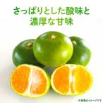 【先行予約】 極早生みかん 2S-2L 約5kg みかん 蜜柑 柑橘 フルーツ 果物 【日本フルーツ株式会社】【ZFJ054】 熊本県山鹿市