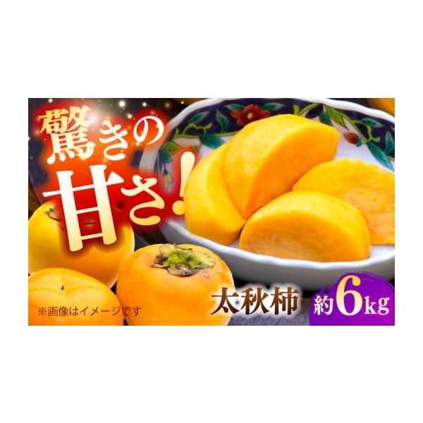 果物類 柿 熊本県 山鹿市 先行予約 太秋柿 約6kg 柿 カキ フルーツ 果物 秋 日本フルーツ株式会社 ZFJ071