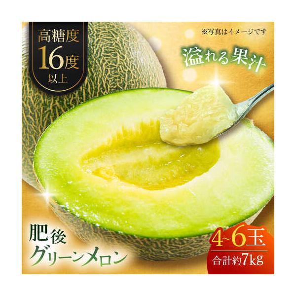 【先行予約】肥後グリーンメロン 約7kg(4?6玉入) メロン グリーンメロン フルーツ 熊本県産 【日本フルーツ株式会社】 【ZFJ006】 熊本県山鹿市