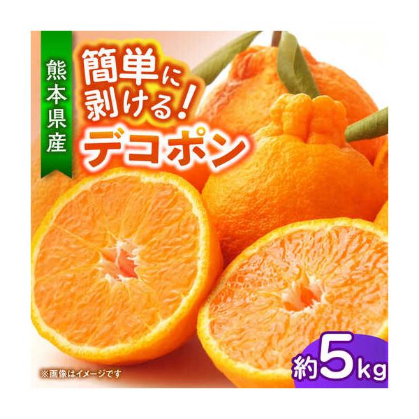 【先行予約】デコポン 約5kg 柑橘 みかん 蜜柑 熊本 フルーツ 果物 【日本フルーツ株式会社】【ZFJ034】 熊本県山鹿市