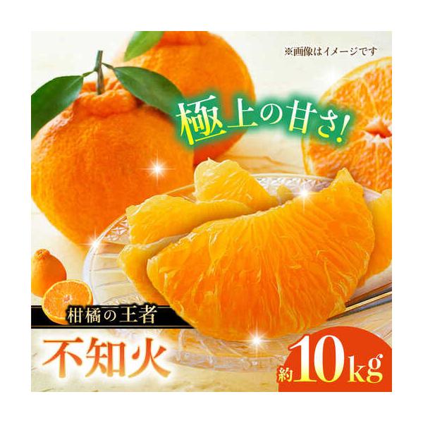 【先行予約】不知火 約10kg 柑橘 蜜柑 みかん フルーツ 【日本フルーツ株式会社】 【ZFJ003】 熊本県山鹿市