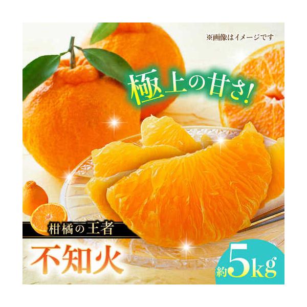 【先行予約】不知火 約5kg 柑橘 蜜柑 みかん フルーツ 【日本フルーツ株式会社】 【ZFJ002】 熊本県山鹿市
