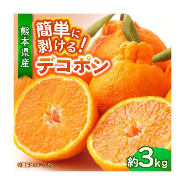 【先行予約】デコポン 約3kg 柑橘 みかん 蜜柑 熊本 フルーツ 果物 【日本フルーツ株式会社】【ZFJ033】 熊本県山鹿市