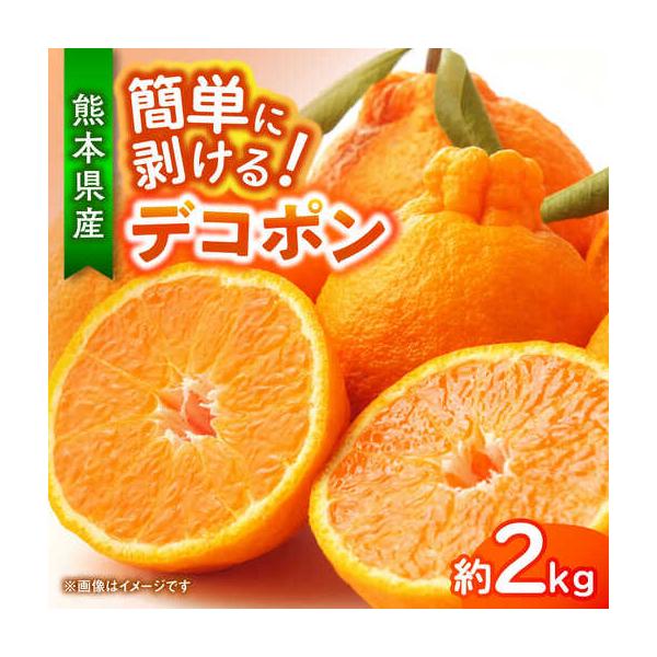 【先行予約】デコポン 約2kg 柑橘 みかん 蜜柑 熊本 フルーツ 果物 【日本フルーツ株式会社】【ZFJ032】 熊本県山鹿市