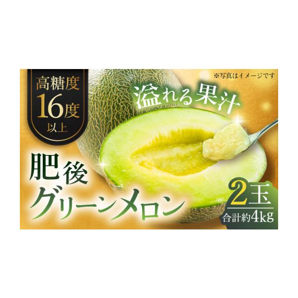 メロン メロン青肉 熊本県 山鹿市 先行予約 肥後グリーンメロン 約4kg(2玉入) メロン グリーンメロン フルーツ 熊本県産 日本フルーツ株式会社 …