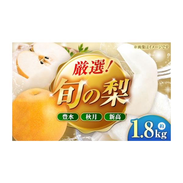 梨 熊本県 山鹿市 先行予約 厳選おまかせ梨 約1.8kg 梨 豊水梨