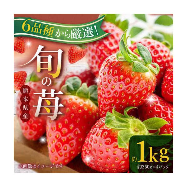 【先行予約】熊本県産いちご 約１kg（250g×4pc） イチゴ フルーツ 果物 熊本県産 熊本【日本フルーツ株式会社】 【ZFJ009】 熊本県山鹿市 約250g
