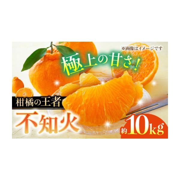 果物類 みかん 熊本県 山鹿市 先行予約 不知火 約10kg 柑橘 蜜柑 みかん フルーツ 日本フルーツ株式会社 ZFJ003