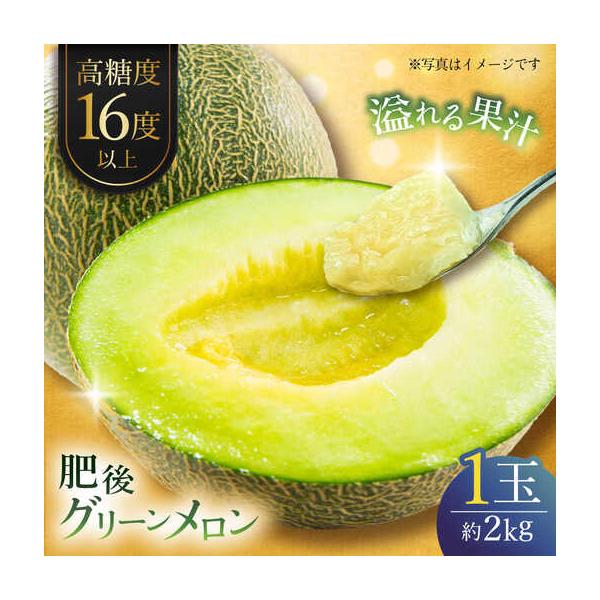 【先行予約】肥後グリーンメロン 約2kg(1玉入) メロン グリーンメロン フルーツ 熊本県産 【日本フルーツ株式会社】 【ZFJ005】 熊本県山鹿市