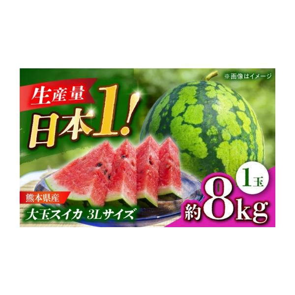 スイカ 熊本県 山鹿市 先行予約 大玉スイカ 3Lサイズ 1玉入り 約8kg すいか 大玉 熊本 フルーツ 野菜 果物 日本フルーツ株式会社 ZFJ047