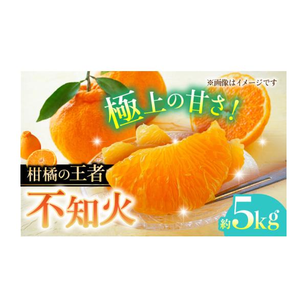 果物類 みかん 熊本県 山鹿市 先行予約 不知火 約5kg 柑橘 蜜柑 みかん フルーツ 日本フルーツ株式会社 ZFJ002