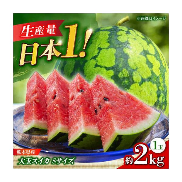 【先行予約】 大玉スイカ Sサイズ 1玉入り 約2kg すいか 小玉 熊本 フルーツ 野菜 果物 【日本フルーツ株式会社】【ZFJ038】 熊本県山鹿市
