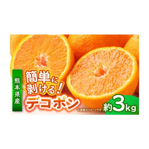 みかん・柑橘類 デコポン 熊本県 山鹿市 先行予約 デコポン 約3kg 柑橘 みかん 蜜柑 熊本 フルーツ 果物 日本フルーツ株式会社 ZFJ033