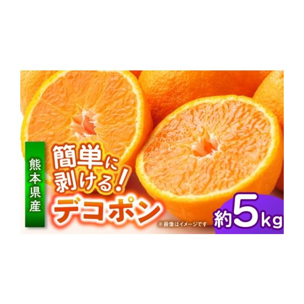 みかん・柑橘類 デコポン 熊本県 山鹿市 先行予約 デコポン 約5kg 柑橘 みかん 蜜柑 熊本 フルーツ 果物 日本フルーツ株式会社 ZFJ034