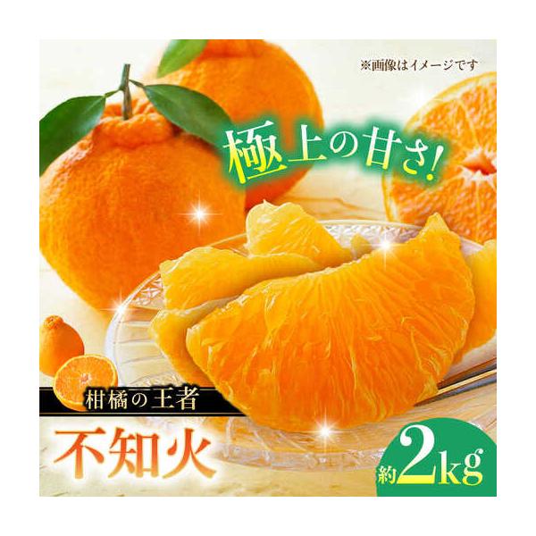 【先行予約】不知火 約2kg 柑橘 蜜柑 みかん フルーツ【日本フルーツ株式会社】 【ZFJ001】 熊本県山鹿市