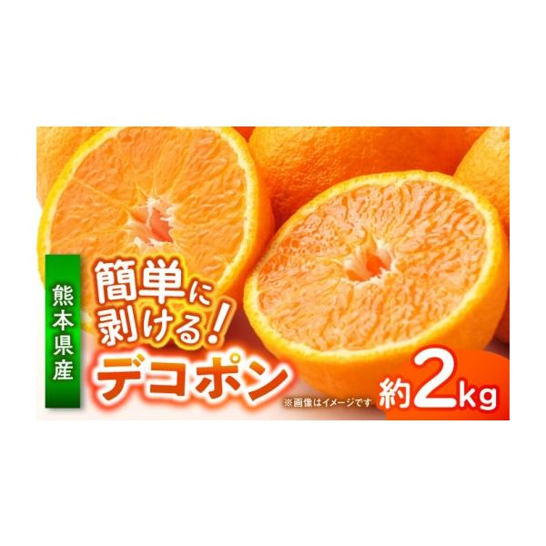 みかん・柑橘類 デコポン 熊本県 山鹿市 先行予約 デコポン 約2kg 柑橘 みかん 蜜柑 熊本 フルーツ 果物 日本フルーツ株式会社 ZFJ032