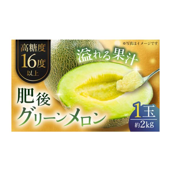メロン メロン青肉 熊本県 山鹿市 先行予約 肥後グリーンメロン 約2kg(1玉入) メロン グリーンメロン フルーツ 熊本県産 日本フルーツ株式会社 …