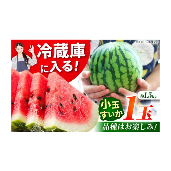 メロン 熊本県 山鹿市 先行予約 小玉スイカ 3L以上 1玉入り 約1.5kg 日本フルーツ株式会社 1万円以下 10000円以下 ZFJ011