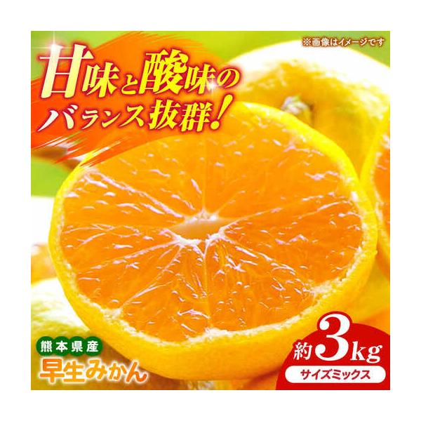 【先行予約】 早生みかん 2S-2L 約3kg みかん 蜜柑 柑橘 フルーツ 果物 【日本フルーツ株式会社】【ZFJ056】 熊本県山鹿市